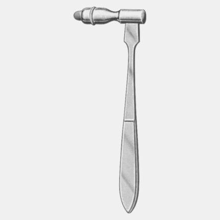Traube