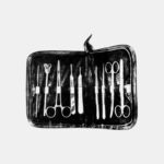 Dissecting Set