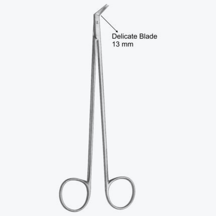 Delicate Blade 13 mm
