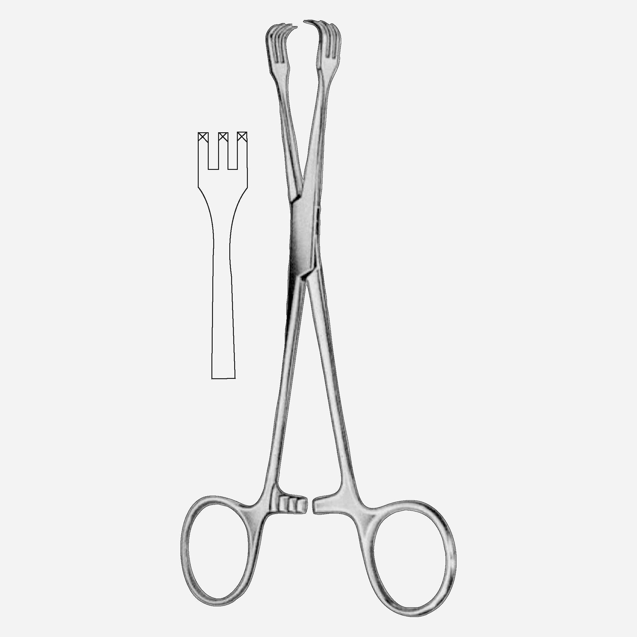 12-1130_11_11zon Lahey Tonsil Grasping Forceps - Image 1