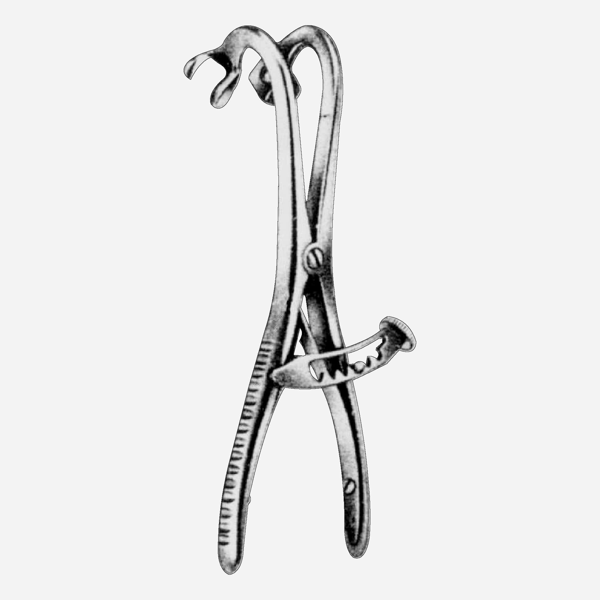 12-810-min Denhardt Mouth Gag - Image 1