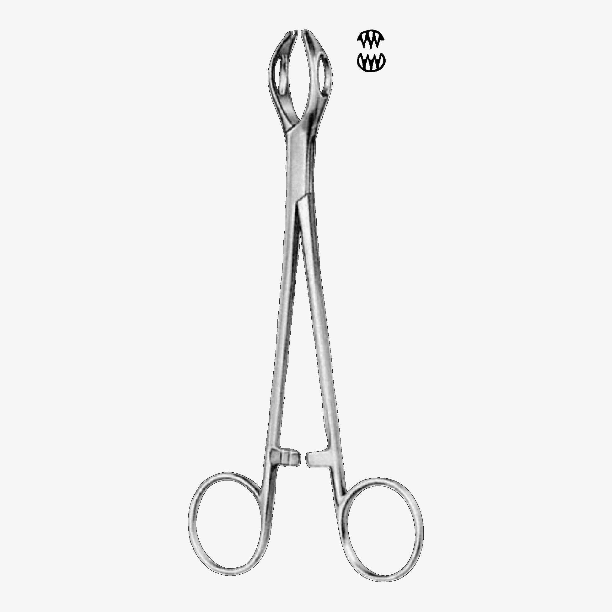 13-180e13-182_9_11zon Lane Intestinal & Tissue Grasping Forceps - Image 1