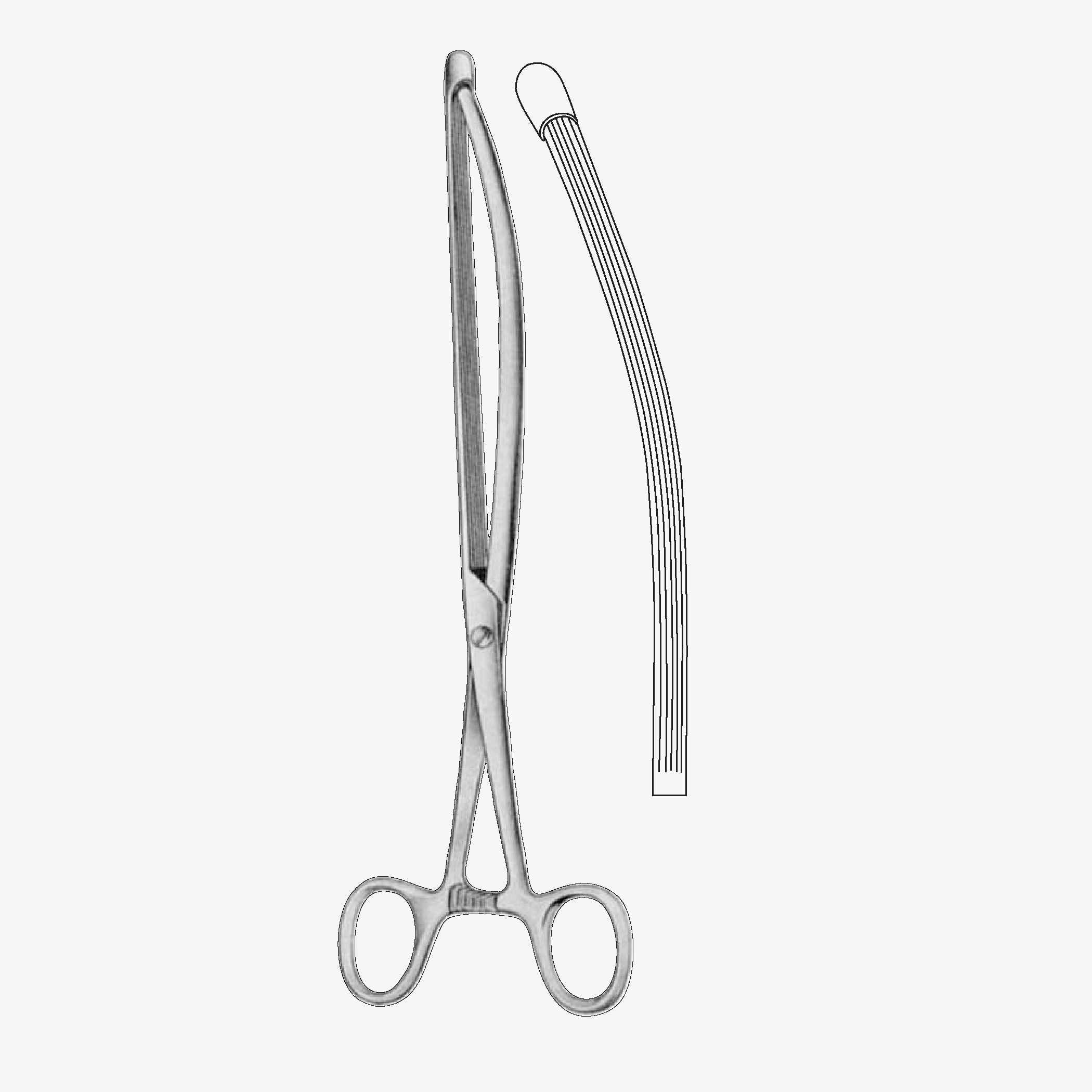 13-310_25_11zon Nussbaum Intestinal & Tissue Grasping Forceps - Image 1