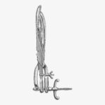 Tarnier Obstetrical Forceps