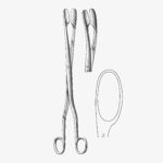 Winter Obstetrical Forceps - Image 2