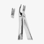 Extracting Forceps - Image 2