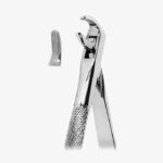 Extracting Forceps - Image 2